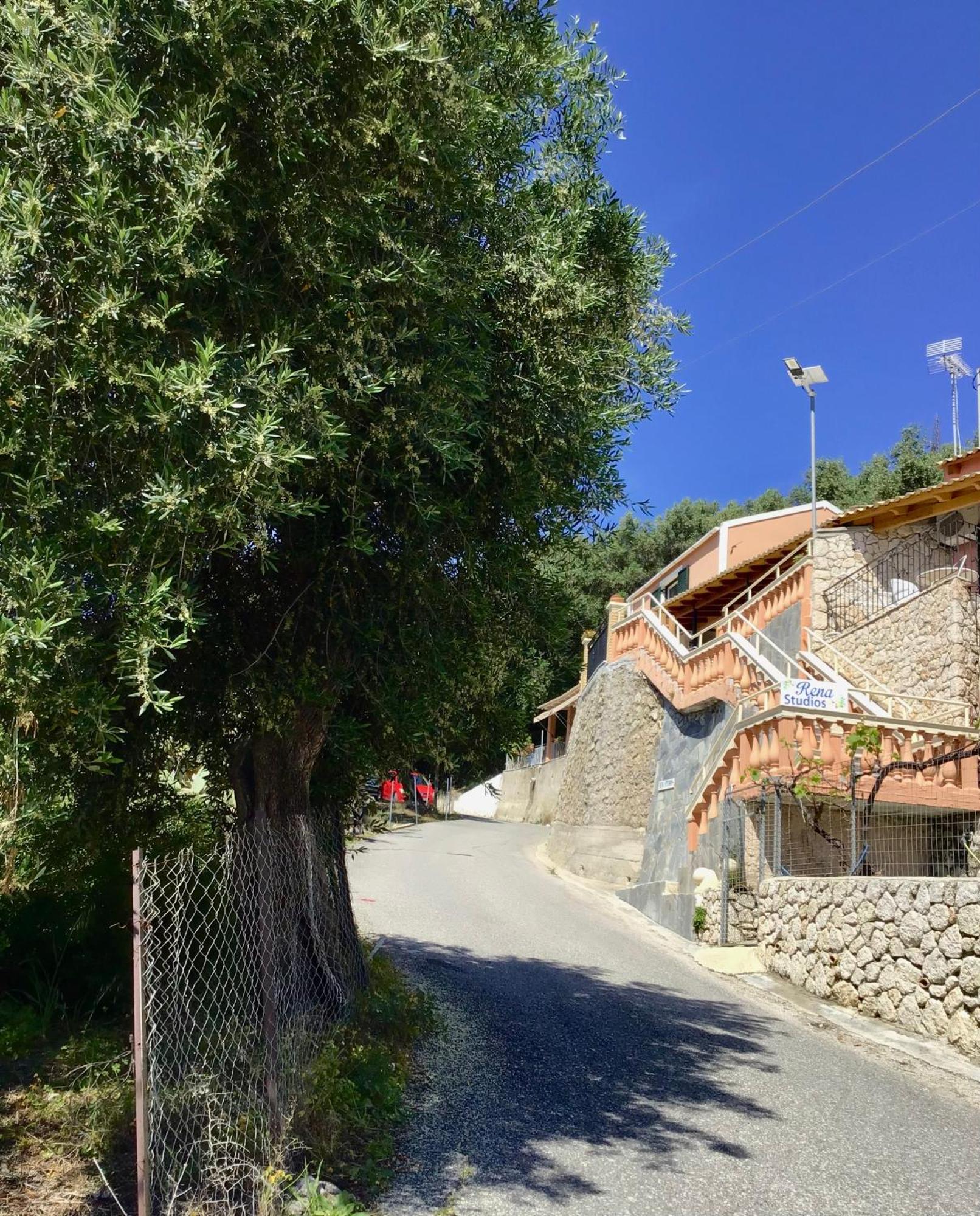 Apartment Rena Studios Paleokastritsa
